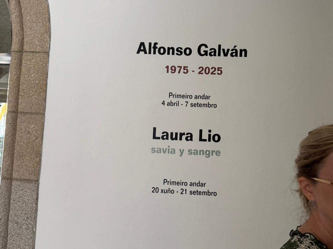 Museo de Arte Contemporanea-比戈必去景点