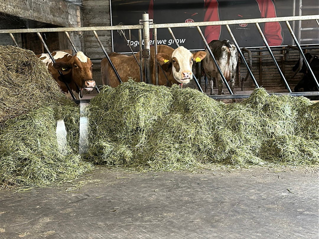 艾弗斯达勒农场酒店主图