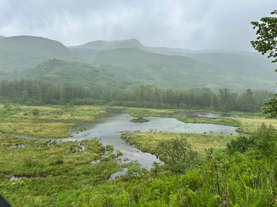 Head Shakers Kodiak-Kodiak必去景点