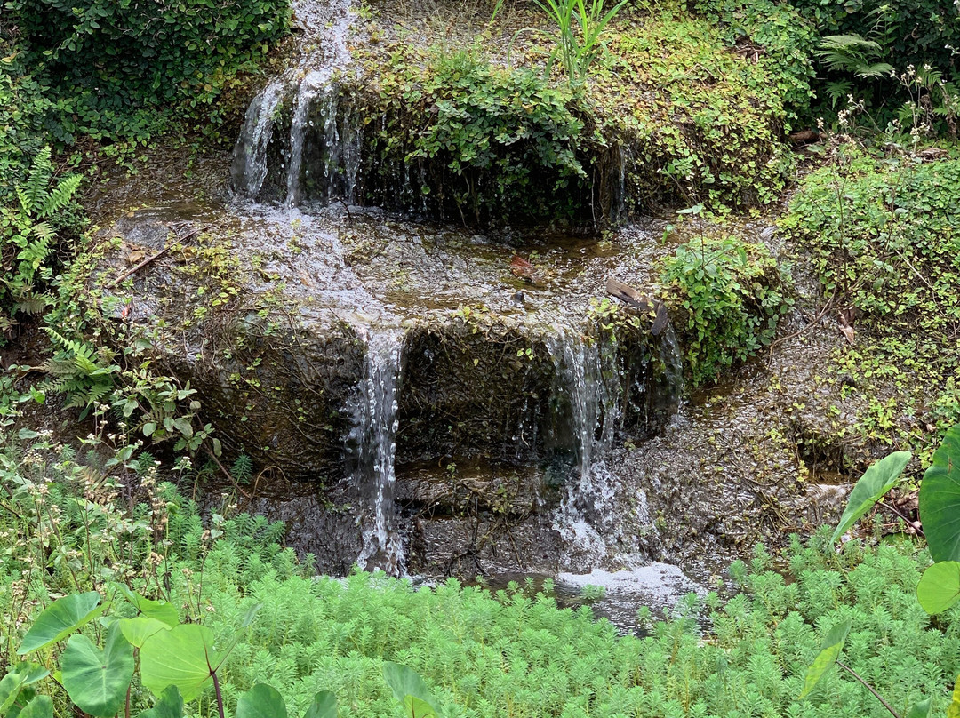 Anaina Hou Community Park-基拉韦厄必去景点