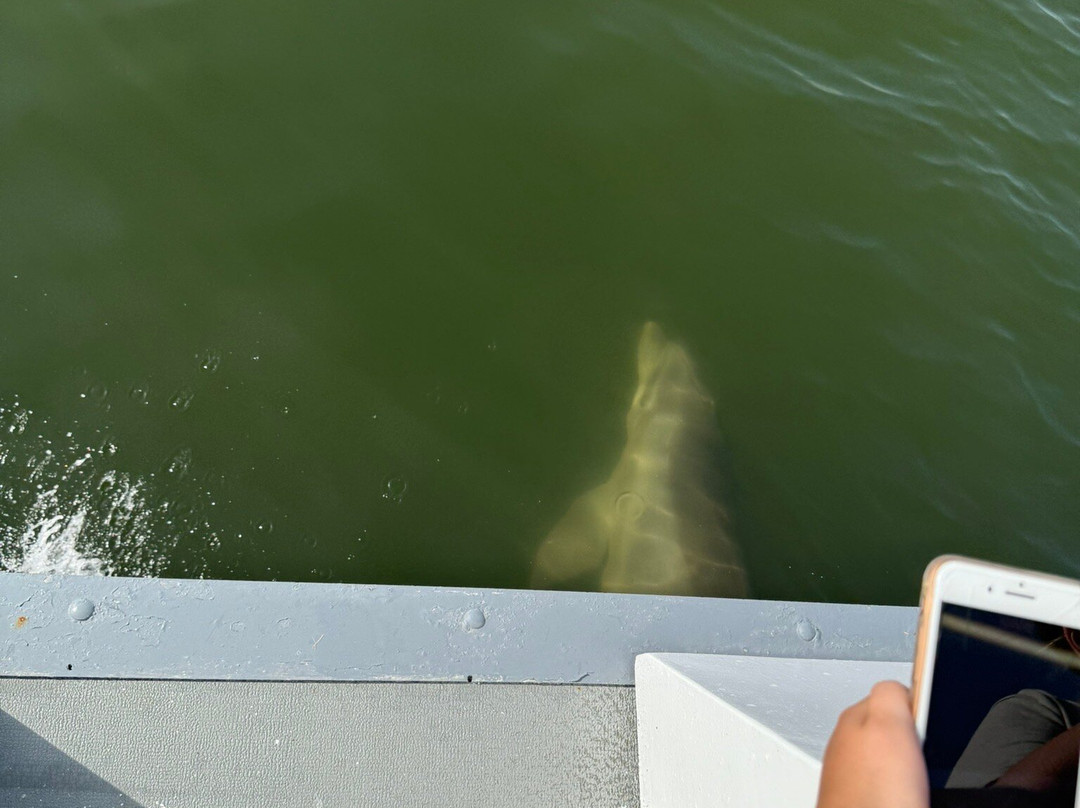 Good Natured River Tours-墨尔本必去景点