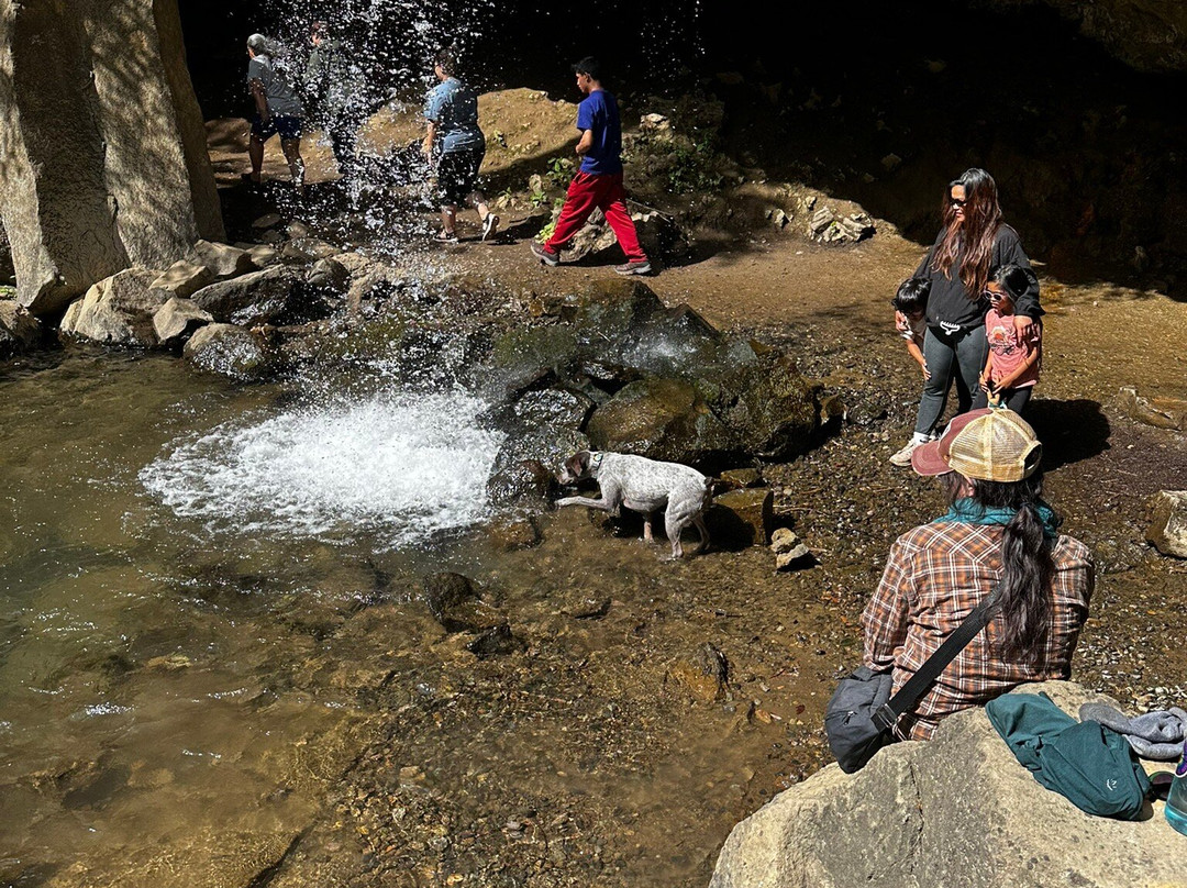 McCloud酒店住宿-Cave Springs Resort