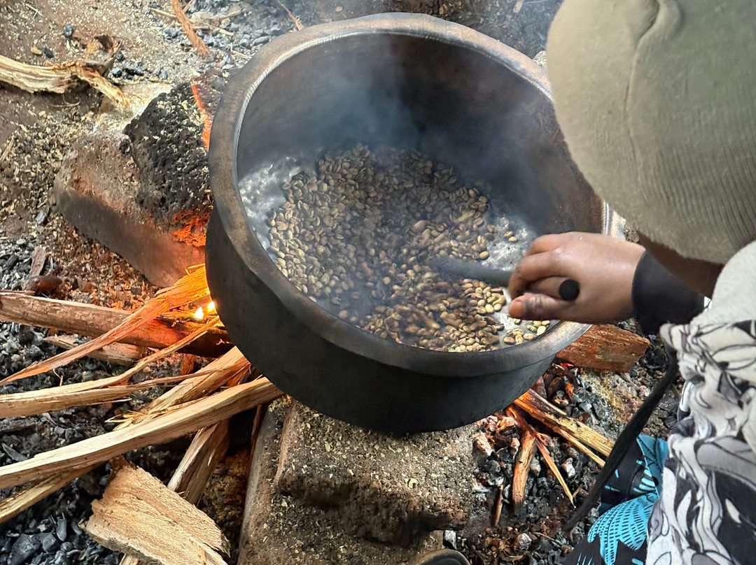 Materuni Coffee & Waterfalls Trail-莫西必去景点