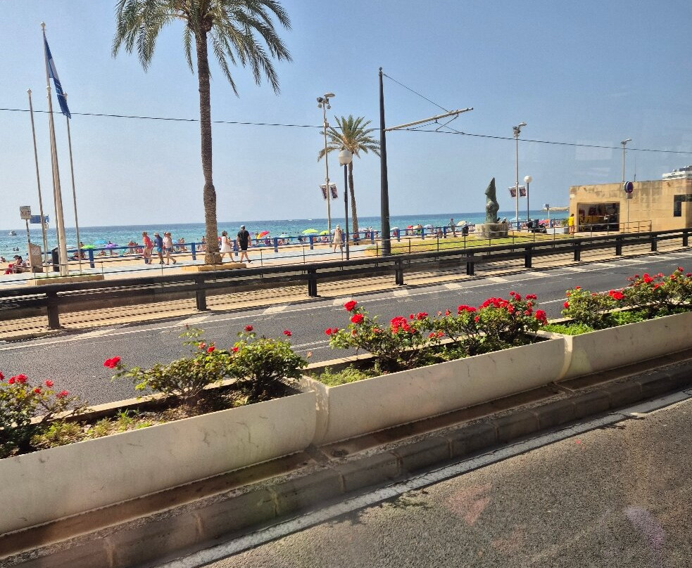 Paseo del Puerto Viejo-阿利坎特省必去景点