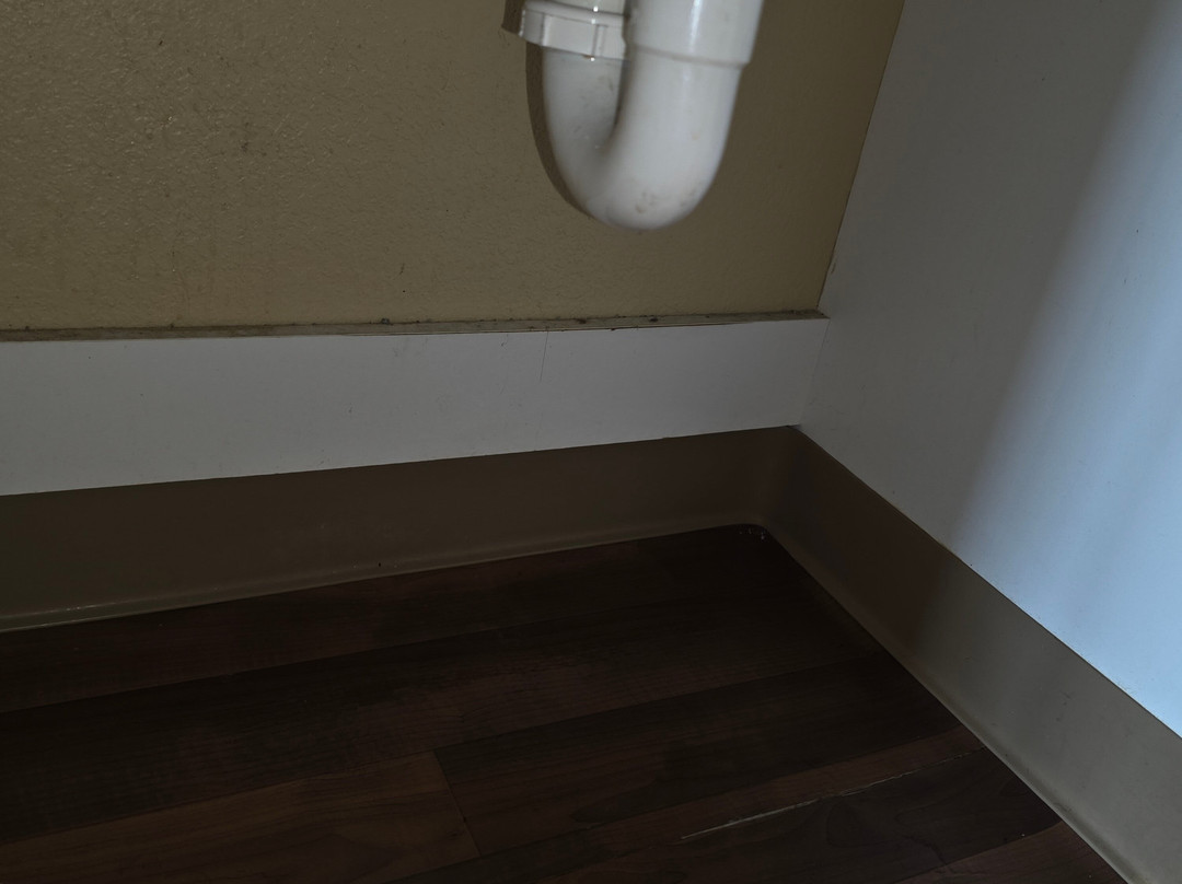 Extended Stay America - Minneapolis - Woodbury主图