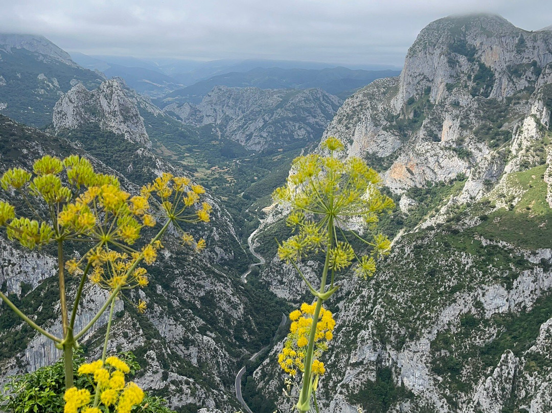 Mirador De Santa Catalina-La Hermida必去景点