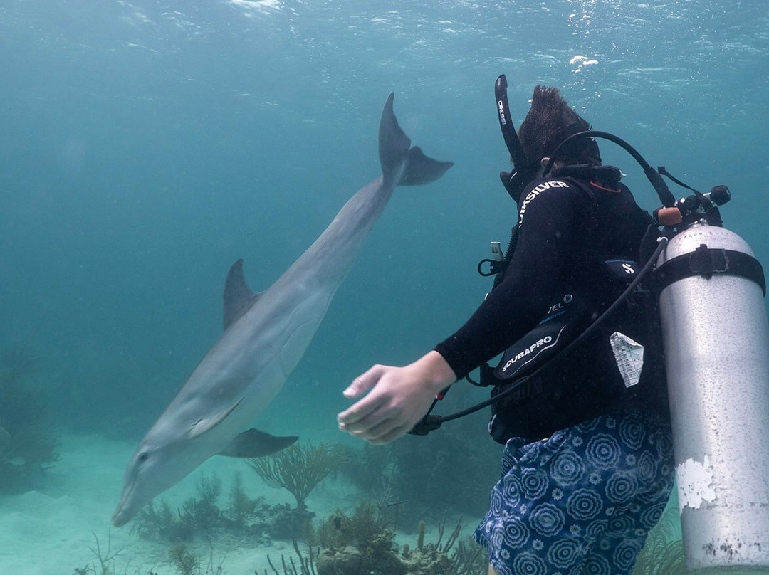 Valentine's Dive Center-哈勃岛必去景点