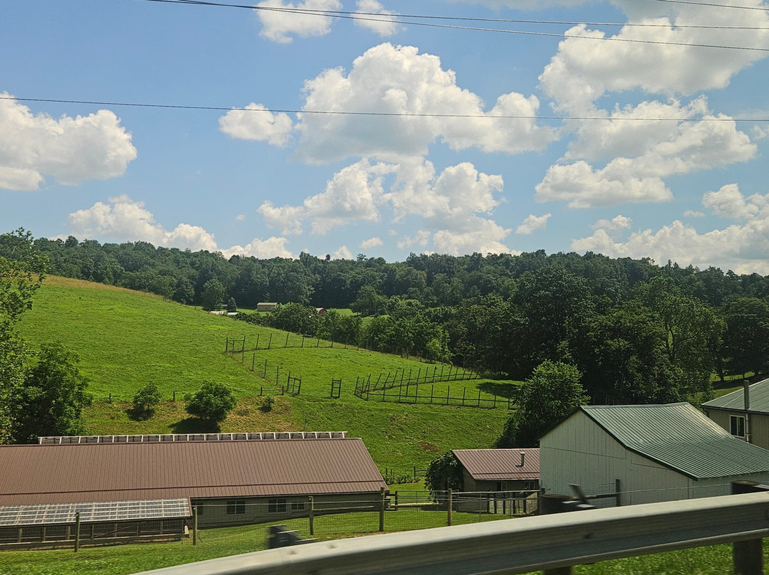 Troyer's Amish Tours-Millersburg必去景点