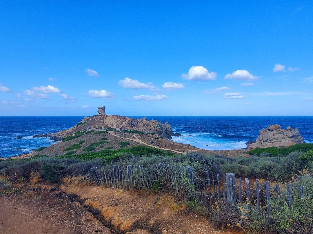 Torra d'Omigna-Cargese必去景点
