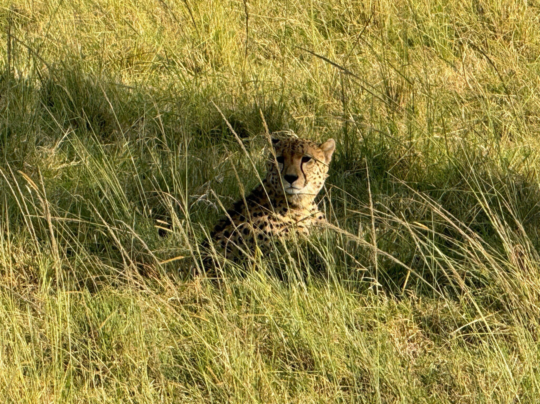 Twende Development and Travel-Eldoret必去景点