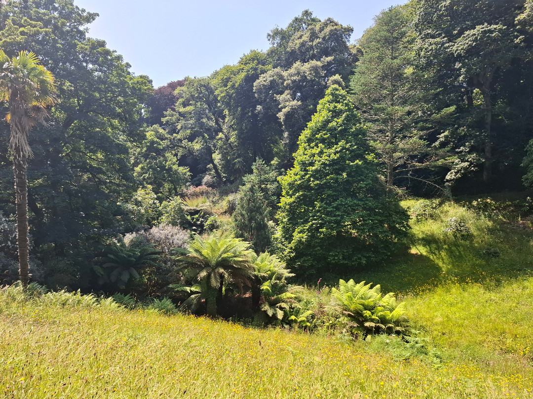 Glendurgan Garden-法尔茅斯必去景点