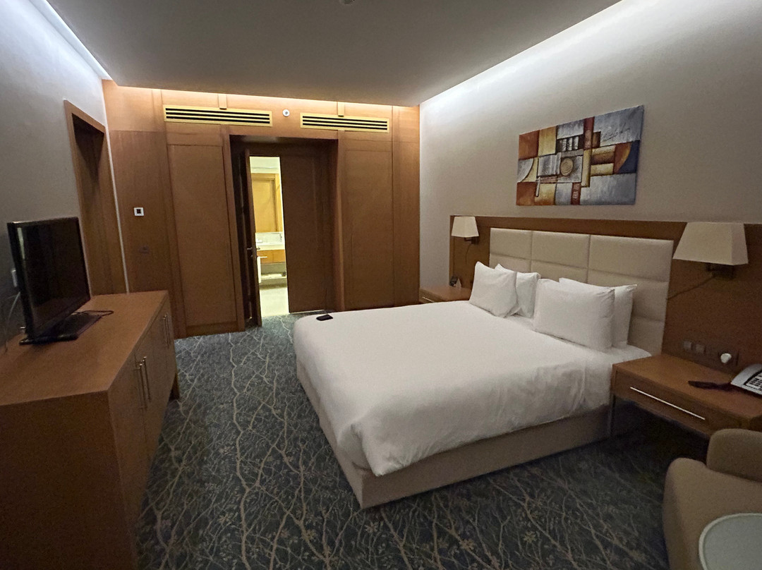 Holiday Inn Baku By IHG主图