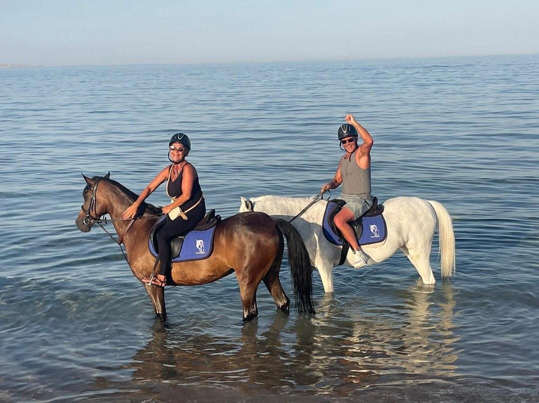 Happy Horse Stable Magawish Horseriding-赫尔格达必去景点