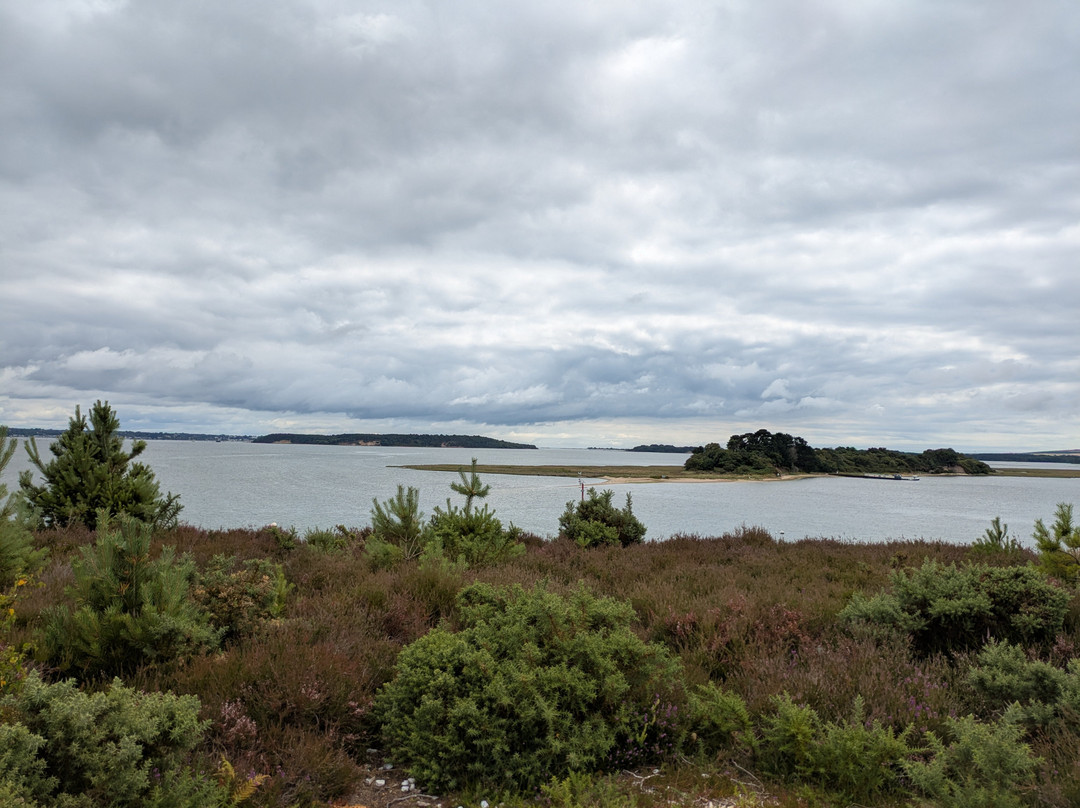 RSPB Arne-Arne必去景点