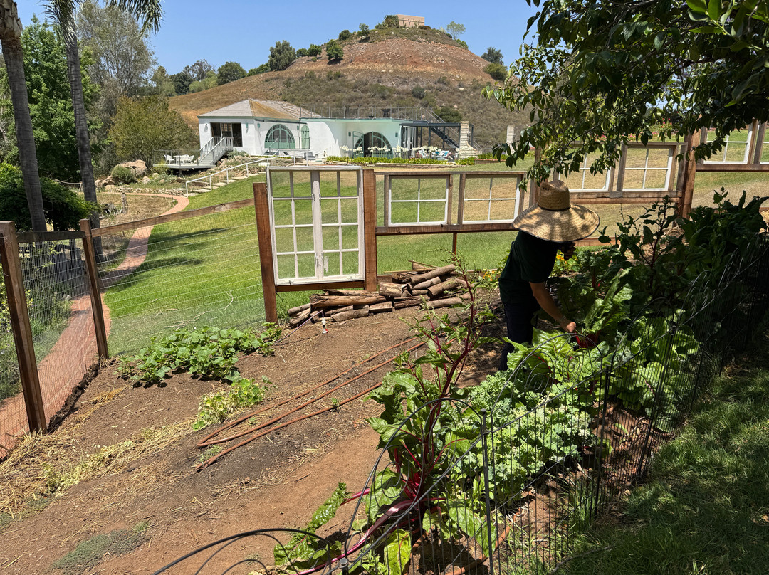 Firefly Grove-Bonsall必去景点