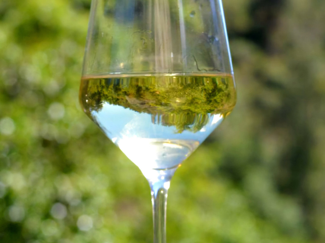 Lambouri Winery-帕拉翠斯必去景点