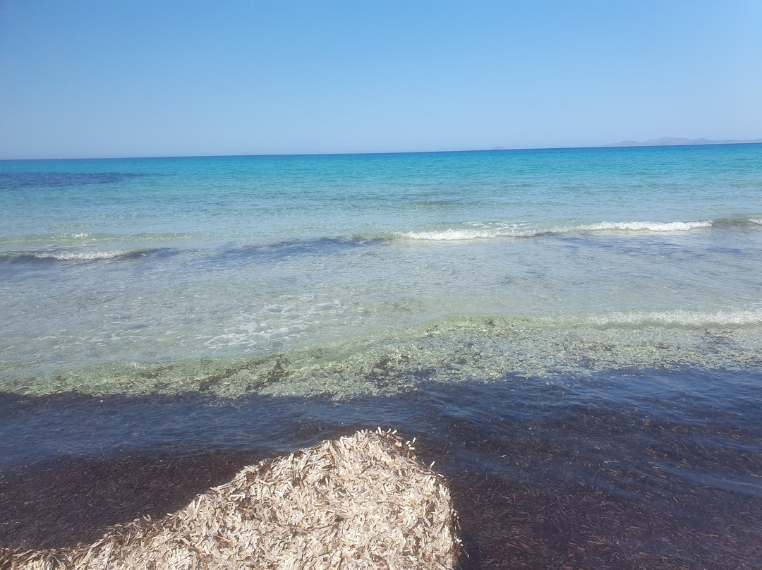 Spiaggia Is Arenas Biancas-Teulada必去景点