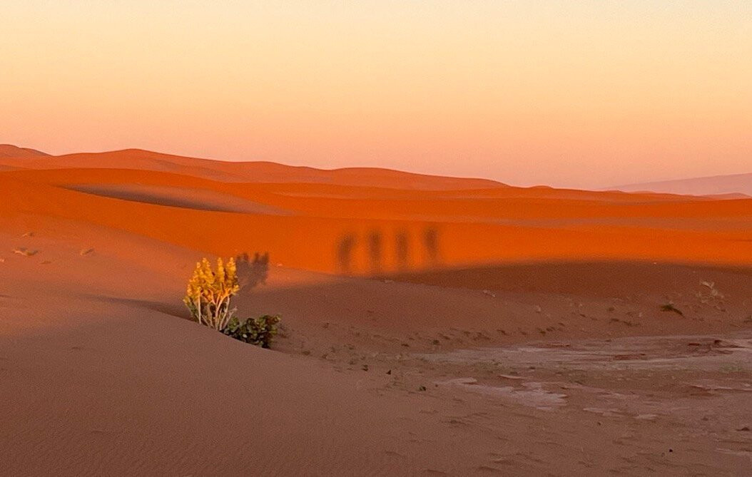 Sahara Bedouins-迈哈米德必去景点