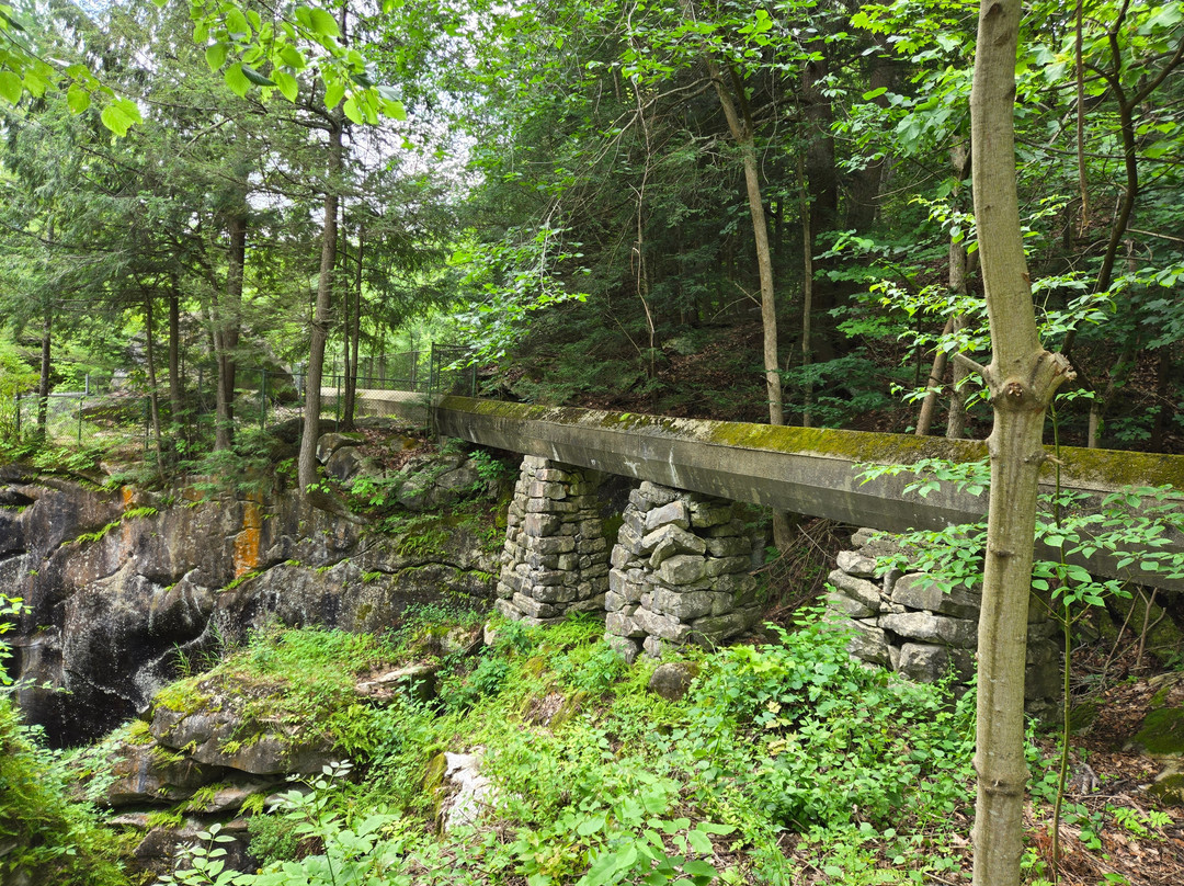 Natural Bridge State Park-North Adams必去景点