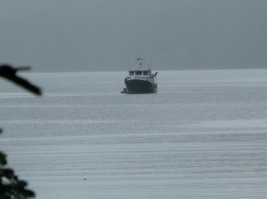 Atlas Ocean Tours-Daajing Giids必去景点