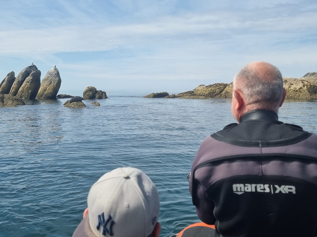 Breizh Tek Diving-Nevez必去景点