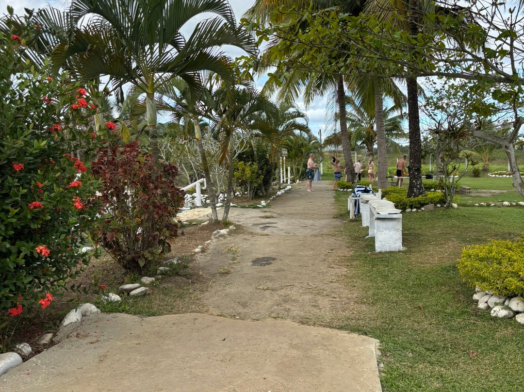 Tifajek Mud Pool Hot Spring And Tours-Votualevu必去景点