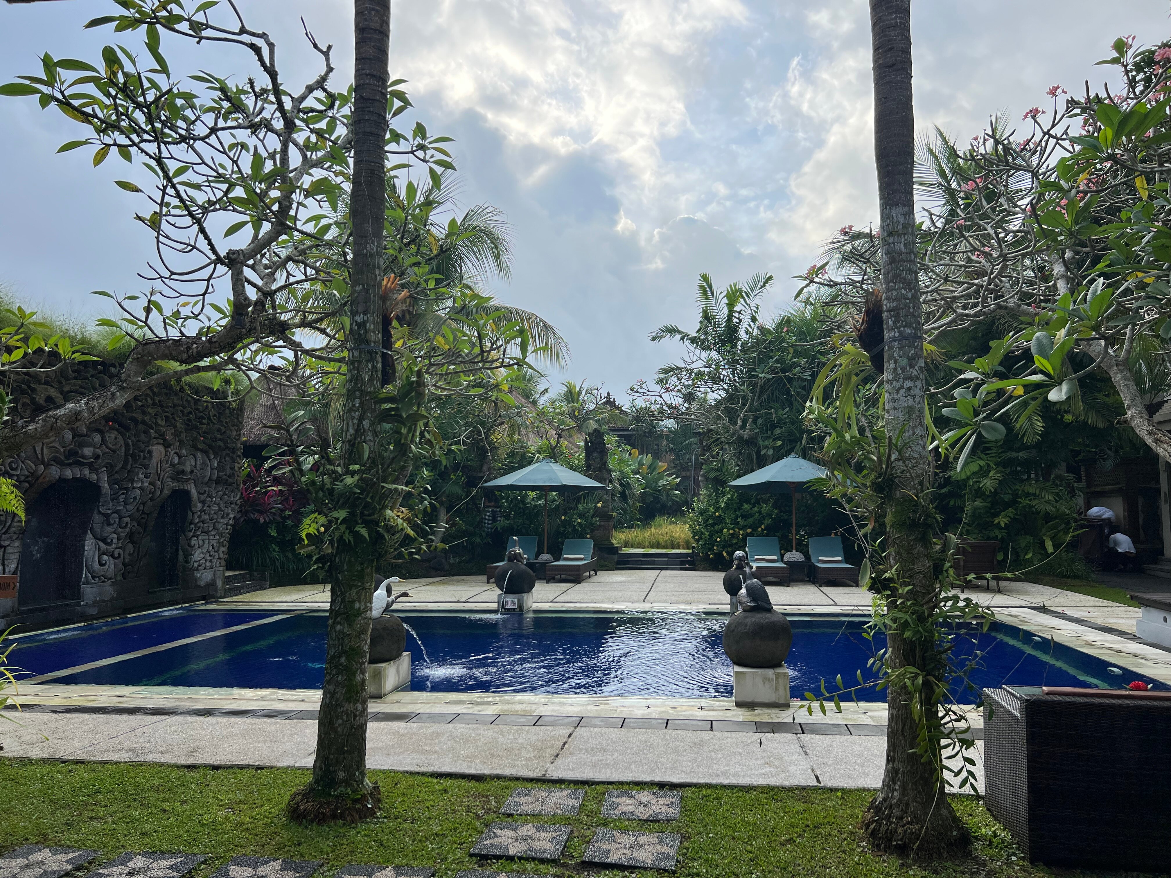 湿地边缘温泉别墅酒店-官方