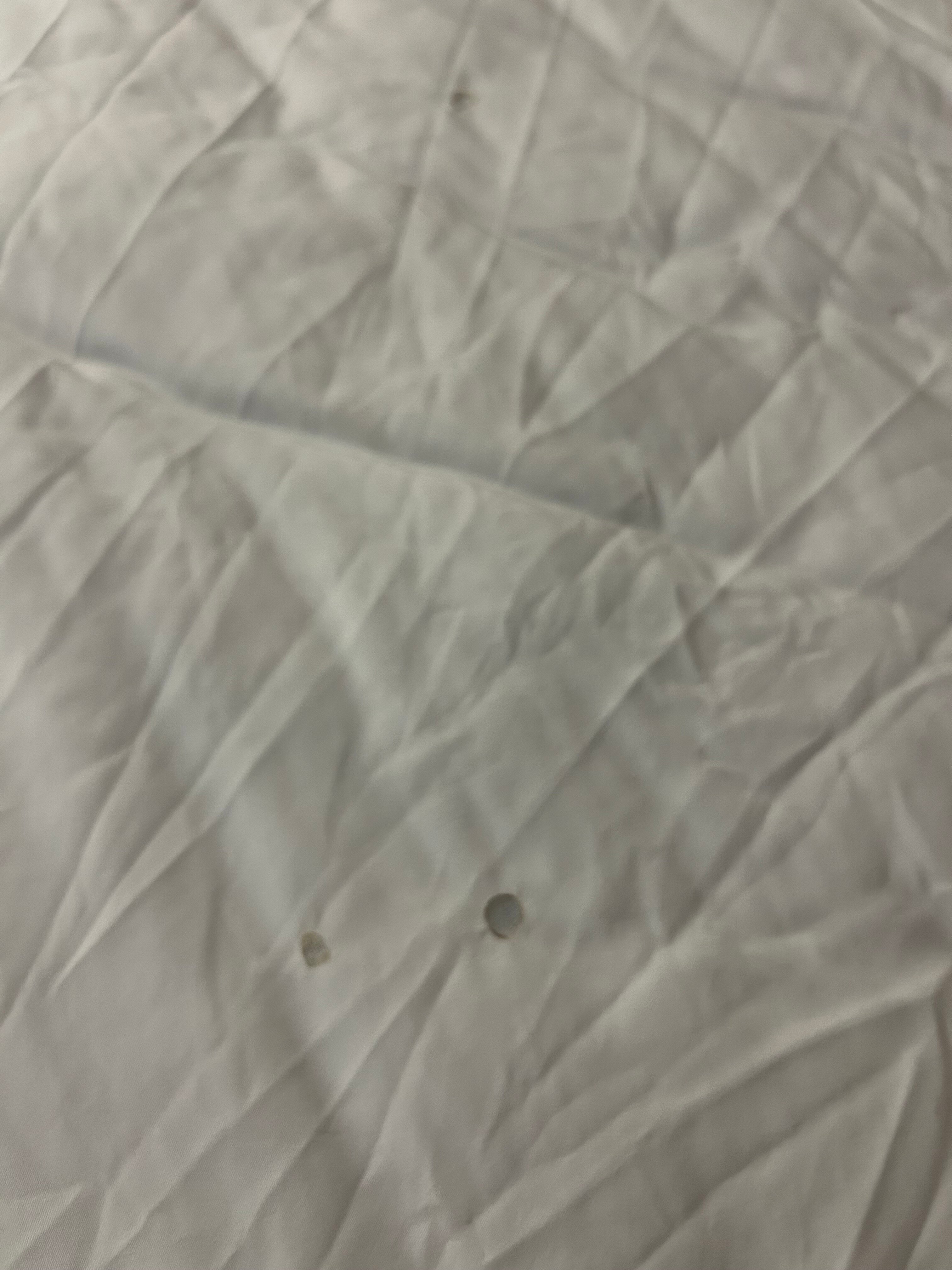 匹兹堡机场品质酒店-客卧