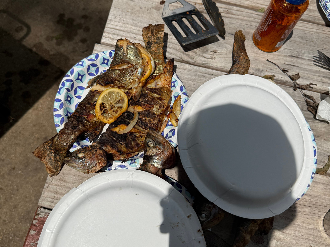 Cotter Trout Dock Guided Trout Fishing Tours-Cotter必去景点