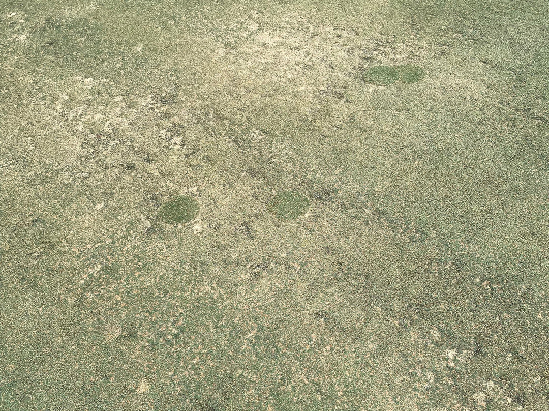 Amata Spring Country Club-春武里必去景点