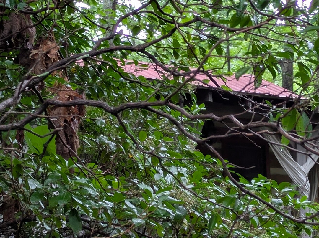 Fiddler's Roost Bed & Breakfast Cabins主图