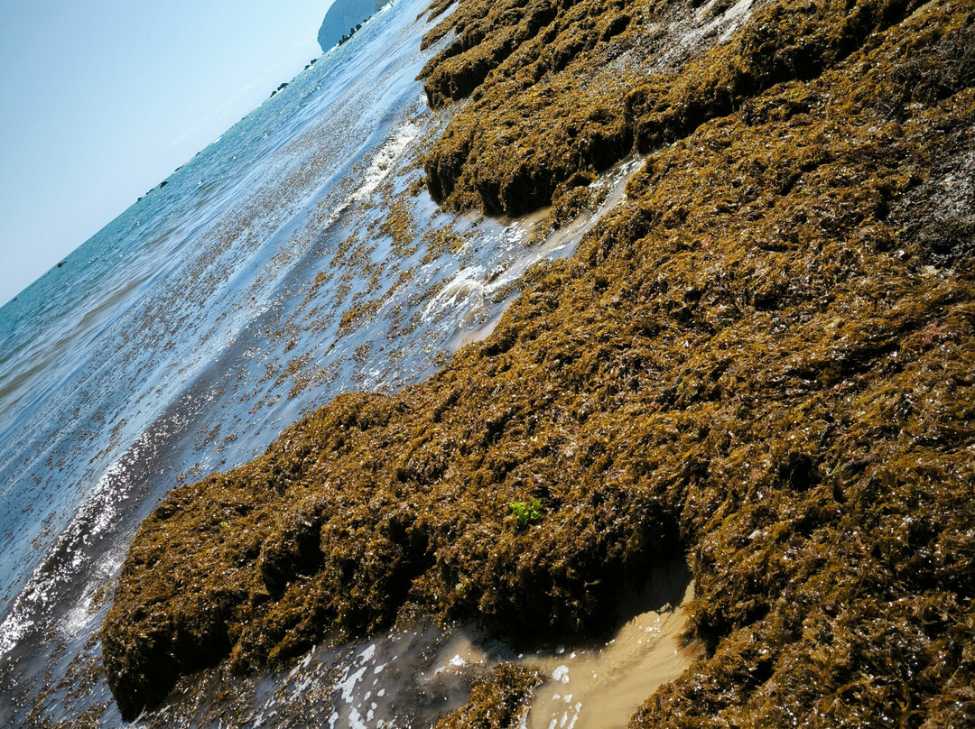 Playa de Trengandin-Noja必去景点