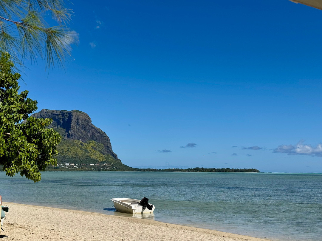 Fabulous View - Dodo Rasta-阿尔比恩必去景点