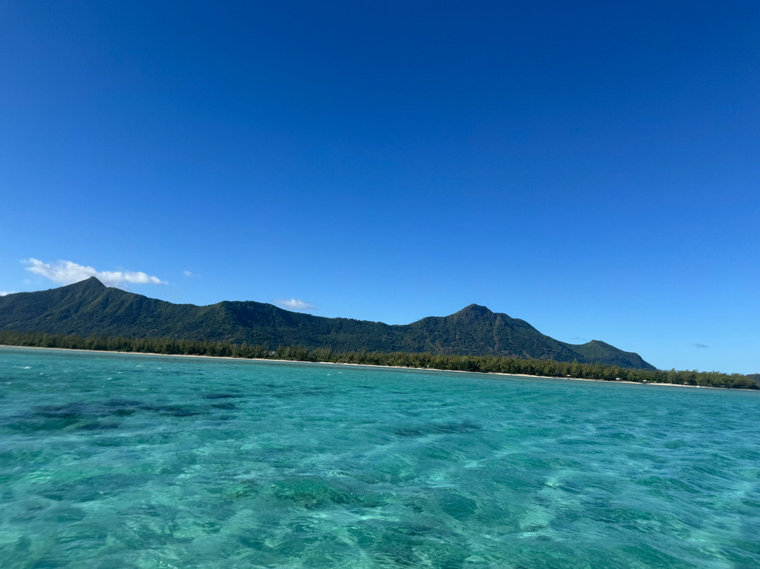 Fabulous View - Dodo Rasta-阿尔比恩必去景点