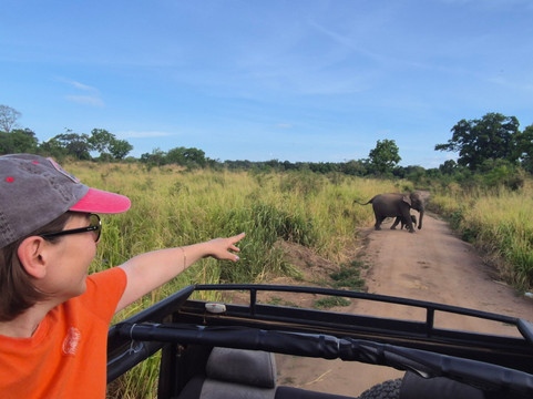 Act Sri Lanka-科伦坡必去景点