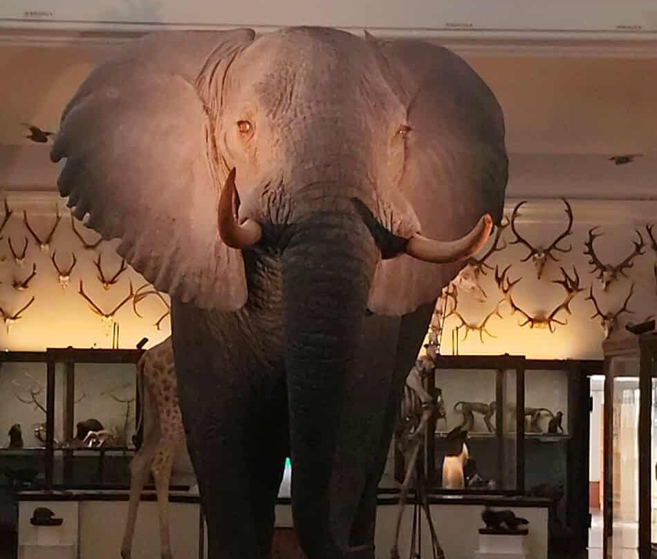 The Natural History Museum-哥德堡必去景点