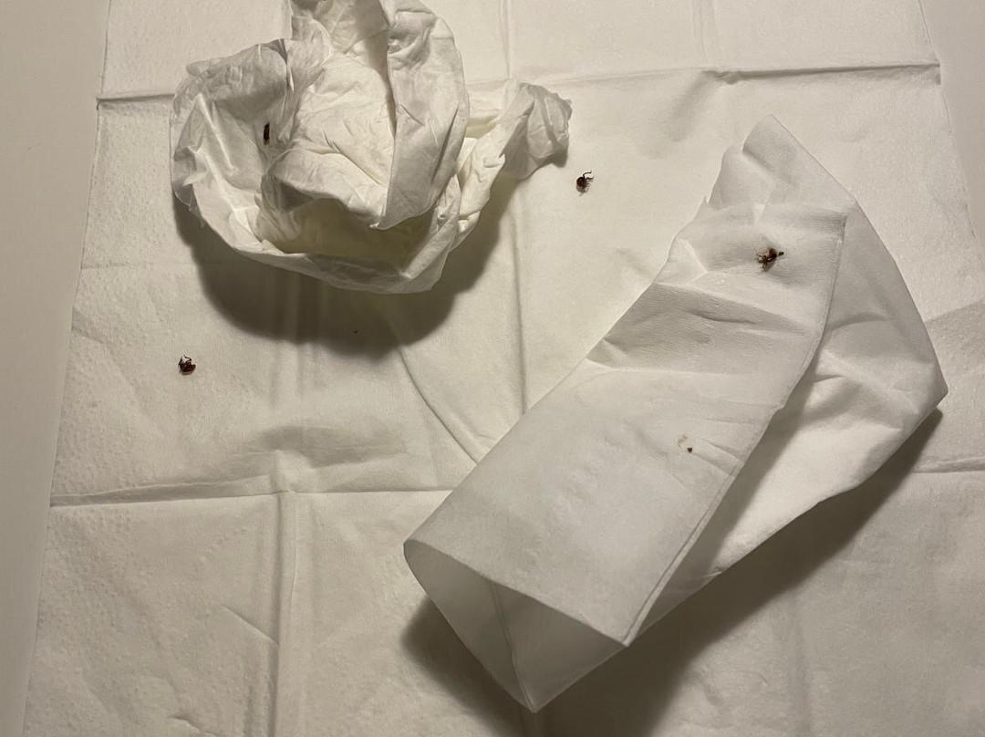 MY HOME Hotel Lamm Rottweil主图