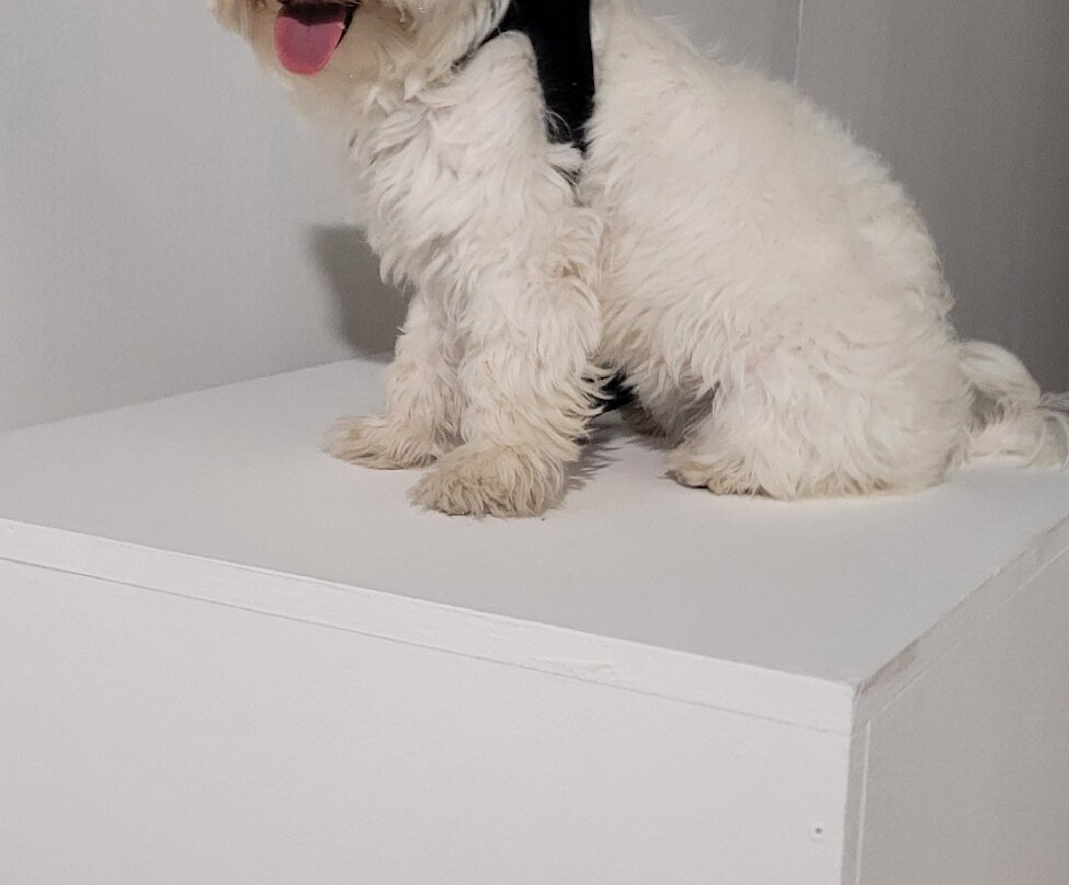 Castello di San Michele-卡利亚里省必去景点