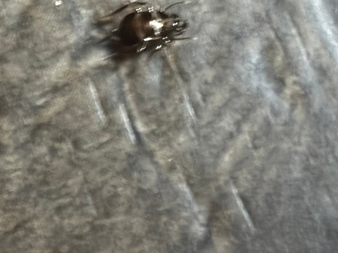 Royal Garden Resort主图