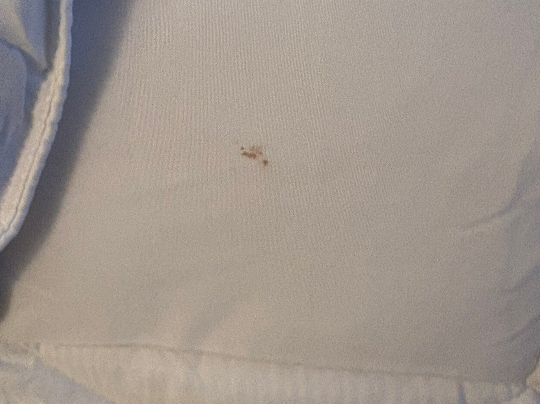 Hampton Inn & Suites Macon I-75 North主图