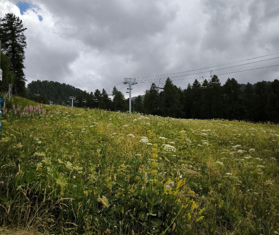 Résidence Club MMV Le Silvana主图