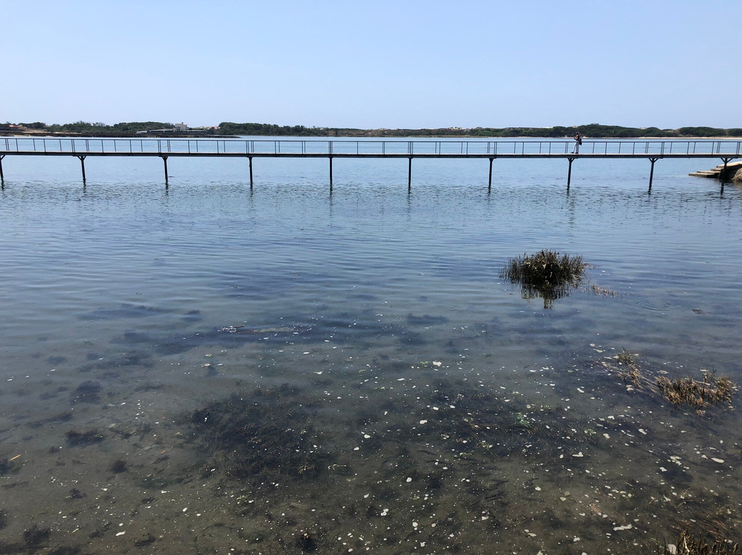 Praia de Esposende-埃斯波森迪必去景点