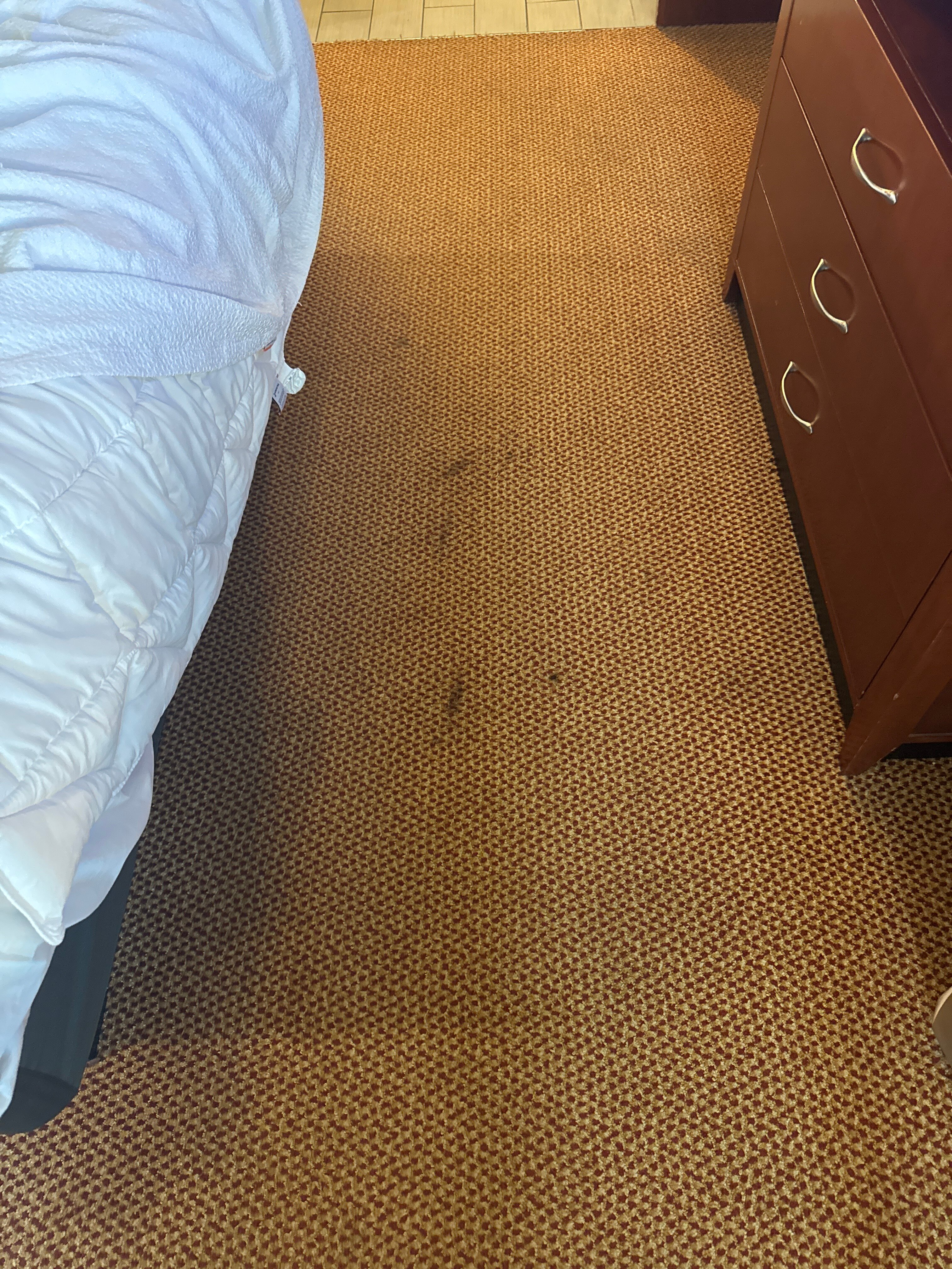 Hilton Garden Inn Independence-客卧