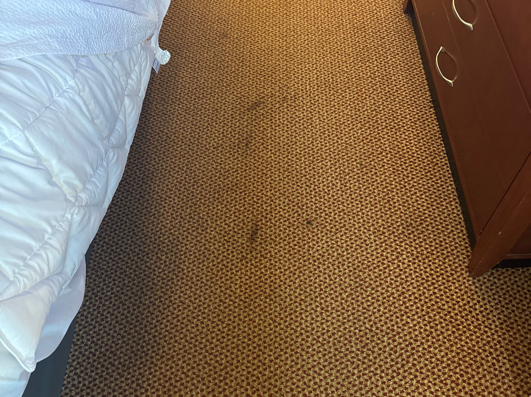 Hilton Garden Inn Independence主图