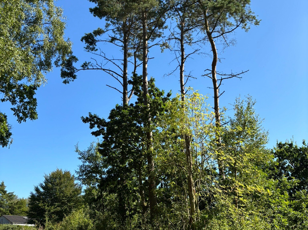 Hals Mose-Hals必去景点