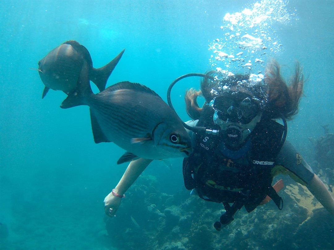 UnderwaterCuba-巴拉德罗必去景点
