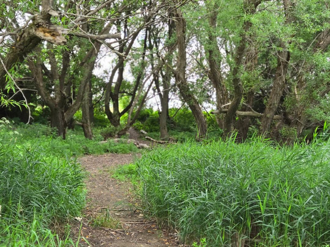 Hotel Centre-Ville主图