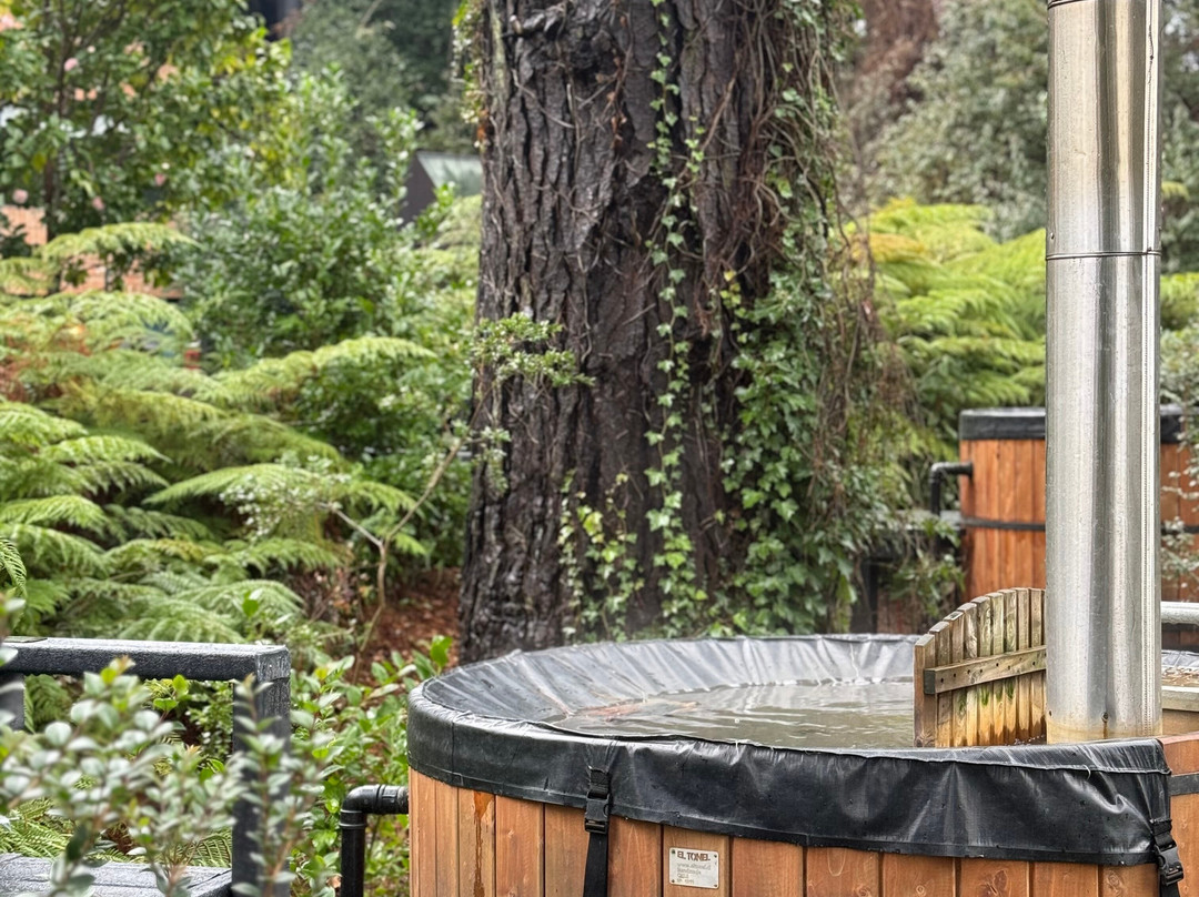 Hotel Puerta Del Sur主图