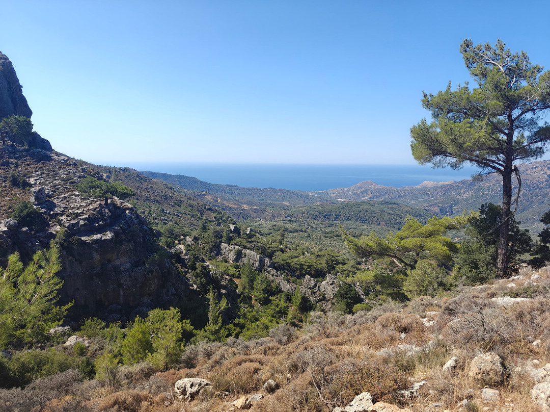 Safari Experts Crete-马利亚必去景点