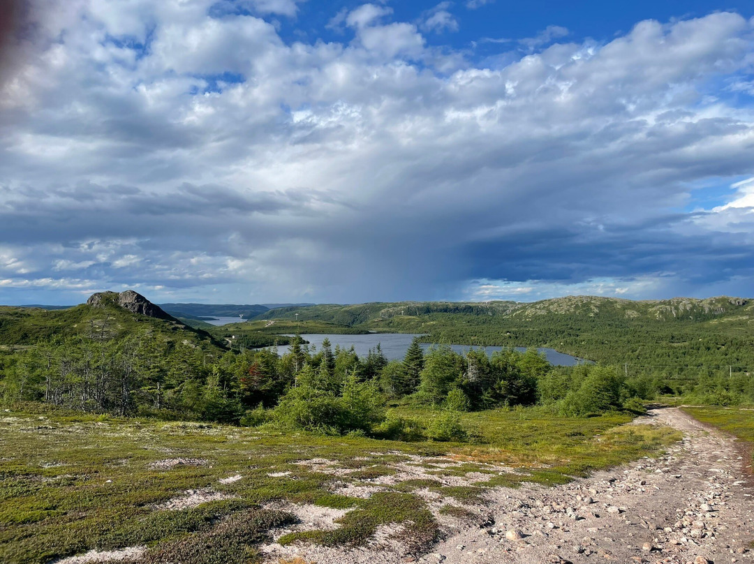 Salmon Bay Farm-Salmon Bay必去景点
